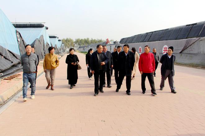 滨城区区诗词学会开展“诗词中的滨城”专题采风活动尊龙AG人生就是博探寻历史文化与现代文明的交融之旅(图7)