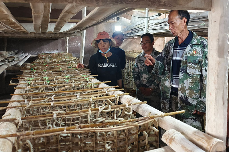 变墙”见证一个村庄的“蝶变”升级尊龙凯时人生就是搏平台“三色渐(图3)
